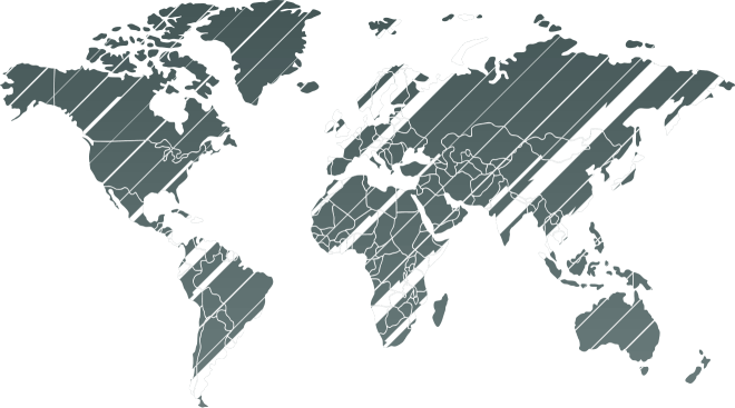 Global Risk Footprint world map